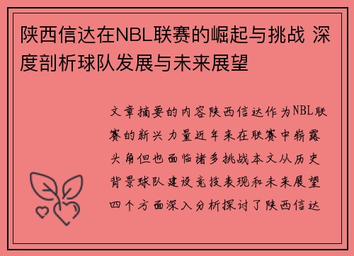 陕西信达在NBL联赛的崛起与挑战 深度剖析球队发展与未来展望